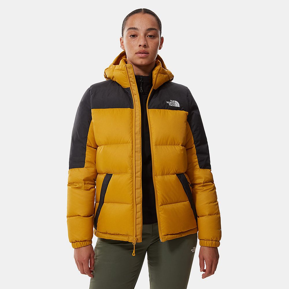 The North Face Winter Jacket Womens Australia - The North Face Diablo Hooded Yellow / Black Hiking (